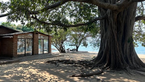 Conforzi Lake House and Beach House — photograph 5 of 7